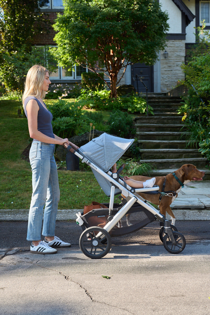 Walking Your Dog and Baby? Here’s the #1 Accessory You’re Missing