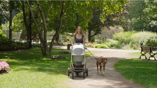5 Essentials for Walking Your Newborn and Dog in the Summer Heat